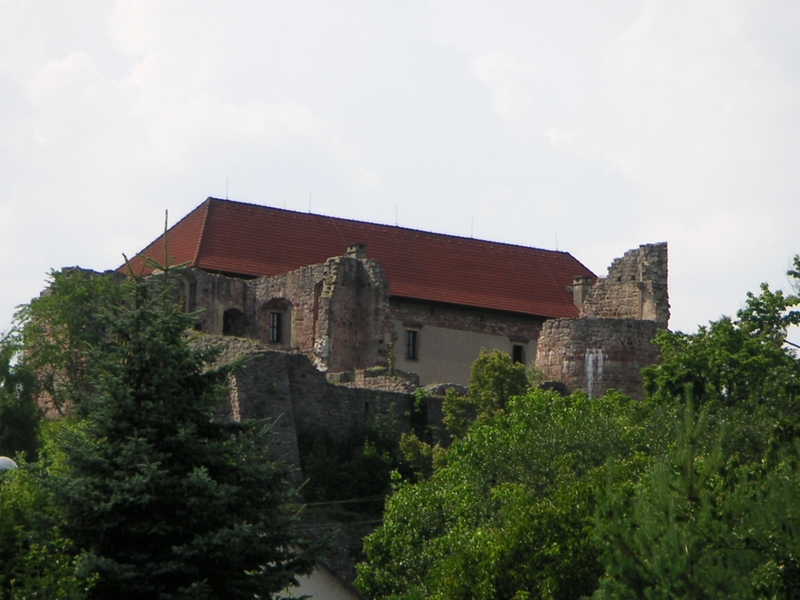 PICT0145.JPG