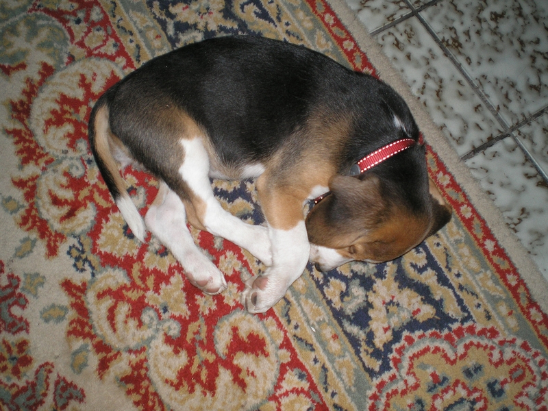 P1010054.JPG